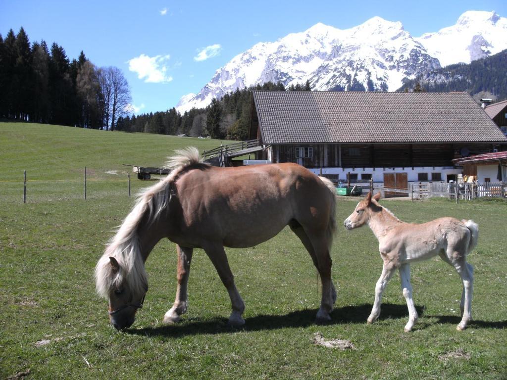 Haslehnerhof Villa Ramsau am Dachstein Exterior photo